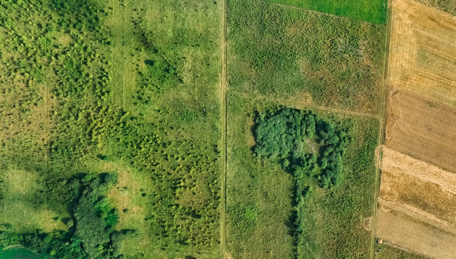Farms