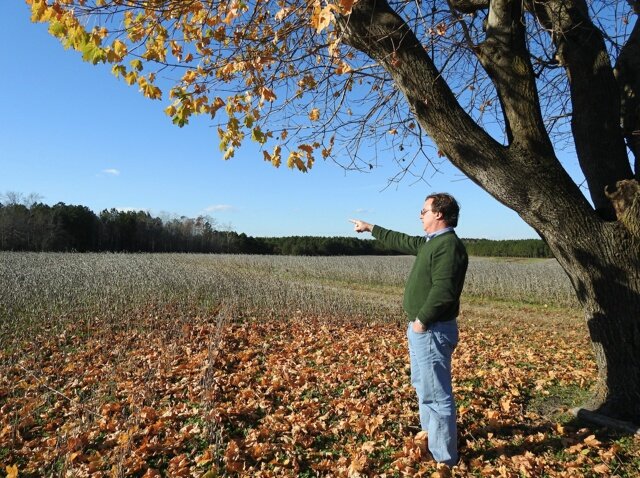 Fall on the Eastern Shore