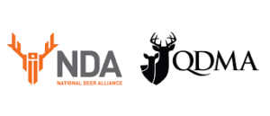 QDMA